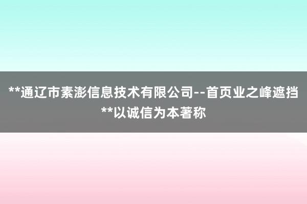 **通辽市素澎信息技术有限公司--首页业之峰遮挡**以诚信为本著称