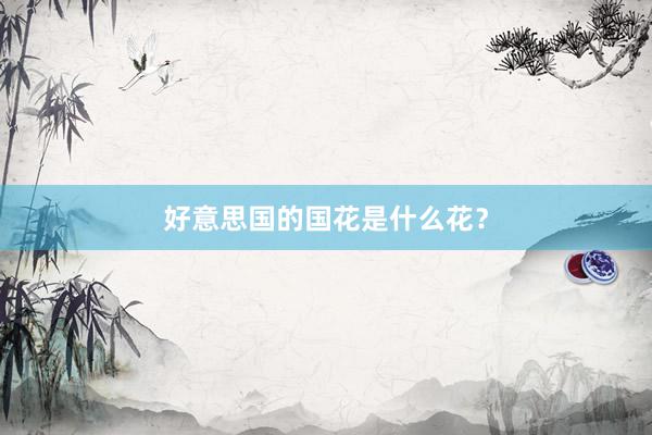 好意思国的国花是什么花？