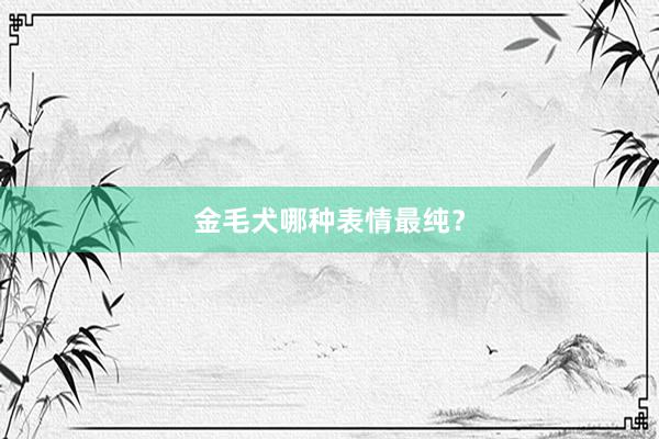 金毛犬哪种表情最纯？