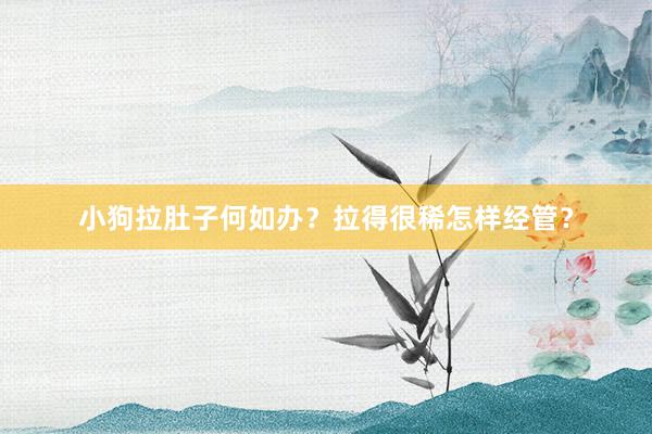 小狗拉肚子何如办？拉得很稀怎样经管？
